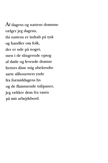 Rystet Spejl