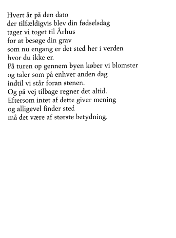 Rystet Spejl
